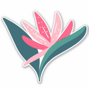 Tropical bird of paradise pink flower illustration