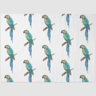 Tropical Bird Series : Blue Macaw design 2 Tissue Paper