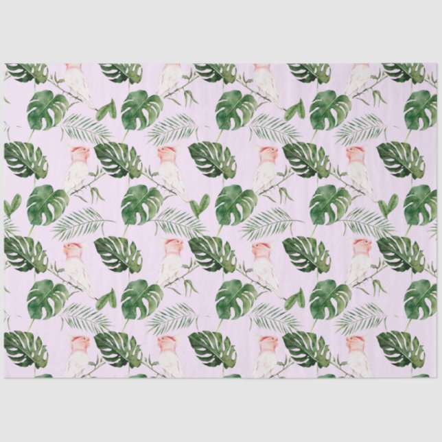 Tropical Bird Series : Major Mitchells Design 5 Tissue Paper (Front)