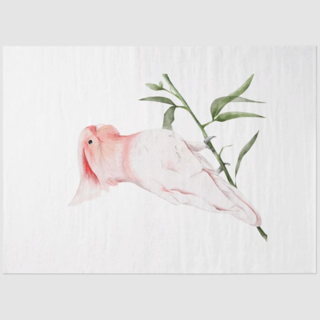 Tropical Bird Series : Major Mitchells Tissue Paper (Front)