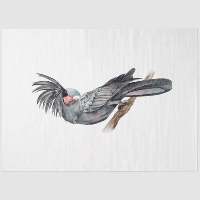 Tropical Bird Series : Palm Parrot Tissue Paper (Front)