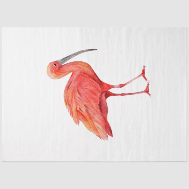 Tropical Bird Series : Scarlet Ibis Tissue Paper (Front)