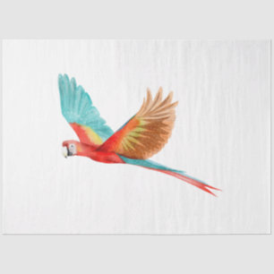 Tropical Bird Series : Scarlet Macaw Tissue Paper