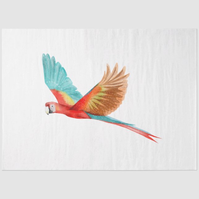 Tropical Bird Series : Scarlet Macaw Tissue Paper (Front)