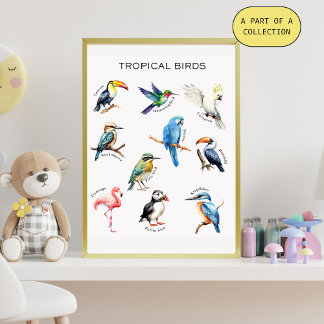 Tropical Birds Educational Poster