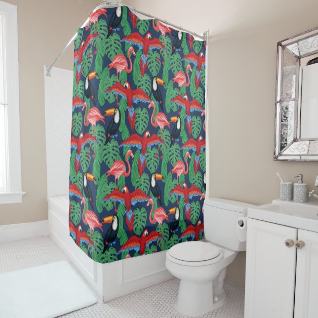 Tropical Birds In Bright Colours (In Situ)