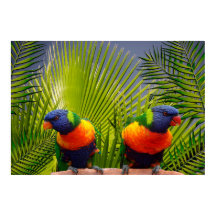 Tropical Birds Poster