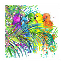 Tropical Birds Poster