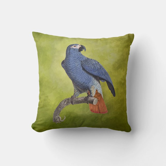 Tropical Birds Vintage Parrot Illustration Throw Pillow (Front)