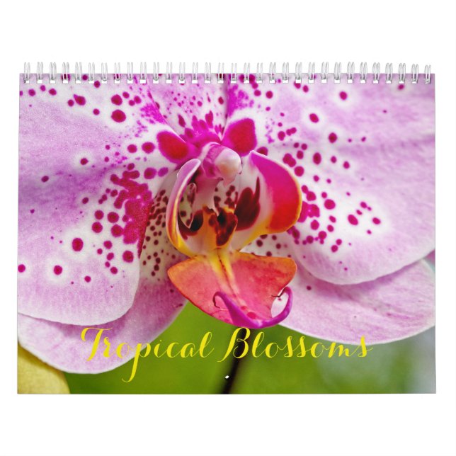 Tropical Blossoms Calendar (Cover)