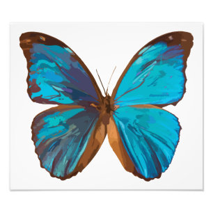 Tropical Blue and Turquoise Gem Butterfly Photo Print