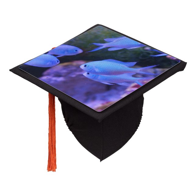 Tropical Blue Fish  Graduation Cap Topper (Angled)