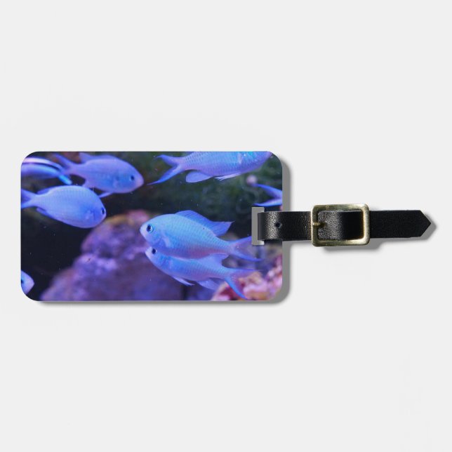 Tropical Blue Fish  Luggage Tag (Front Horizontal)