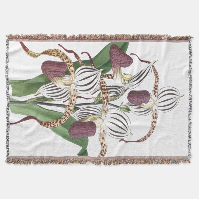 Tropical Botanical Orchid Flowers Floral Throw (Front)