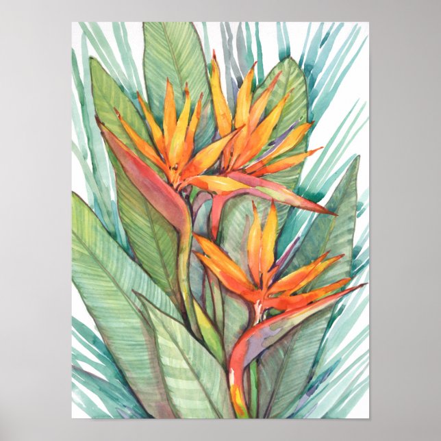 Tropical Botanical Paradise II Poster (Front)