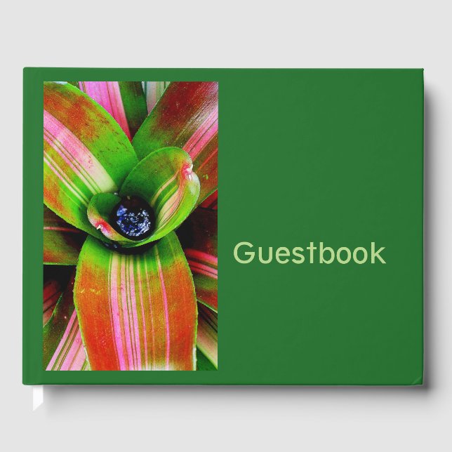 Tropical bromeliad foliage guest book (Front)