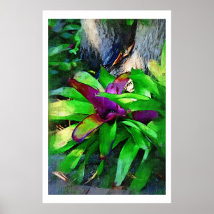 Tropical Bromeliad Poster