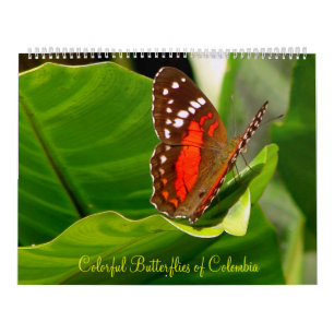 Tropical Butteflies Calendar