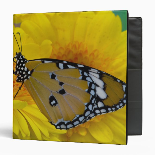 Tropical Butterflies Binder (Front/Inside)