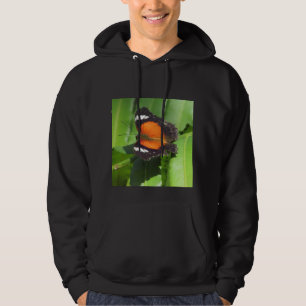 Tropical Butterfly Hooded Sweatshirt