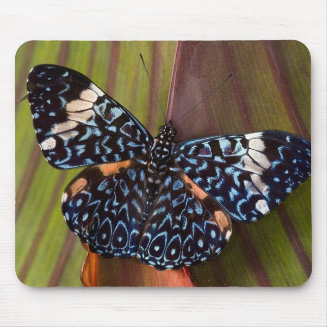 Tropical Butterfly Mouse Pad (Front)