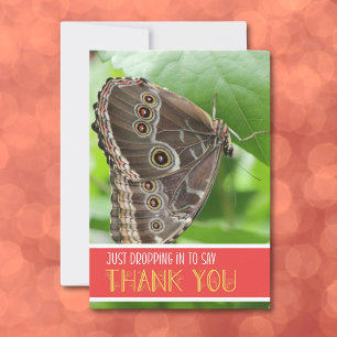 Tropical Butterfly on Leaf Nature Photography Flat Thank You Card