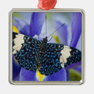 Tropical Butterfly Purple Iris Metal Ornament