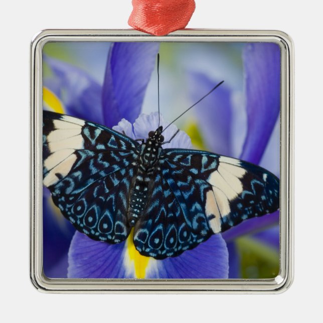 Tropical Butterfly Purple Iris Metal Ornament (Front)