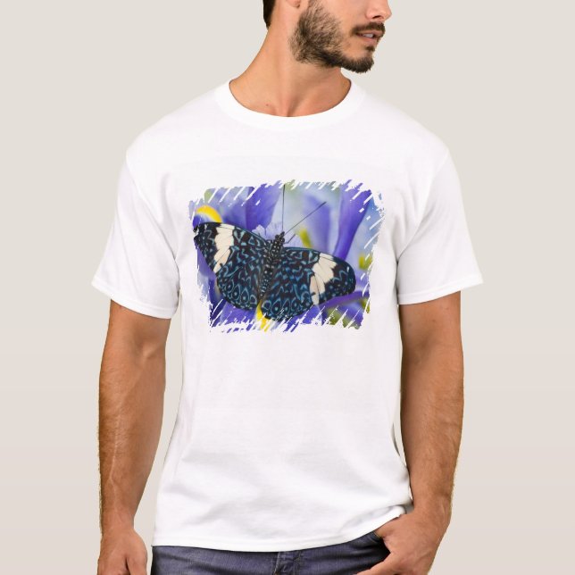 Tropical Butterfly Purple Iris T-Shirt (Front)