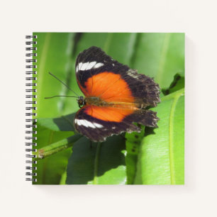 Tropical Butterfly Spiral Notebook