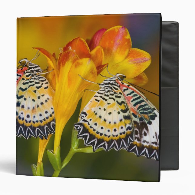 Tropical Butterfly Twins Binder (Front/Inside)
