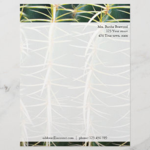 Tropical Cactus Photo Custom Address Letterhead