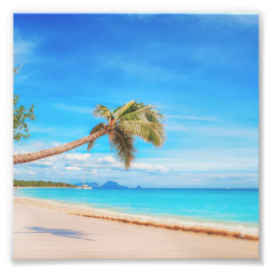Tropical Caribbean beach Photo Print