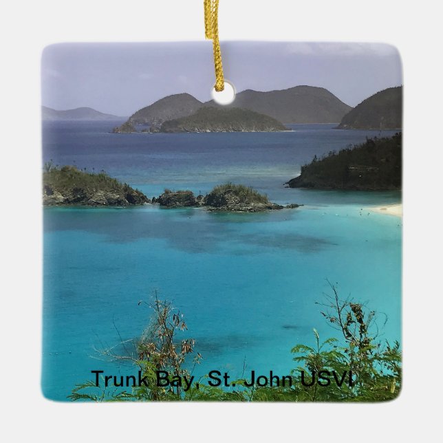 Tropical Christmas Ornament (Front)