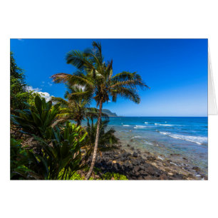 Tropical coastline