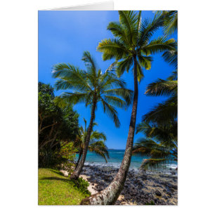 Tropical coastline 2