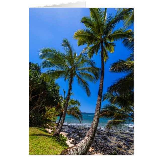 Tropical coastline 2 (Front)