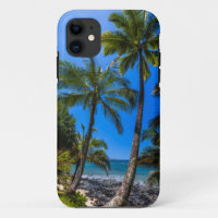 Tropical coastline 2