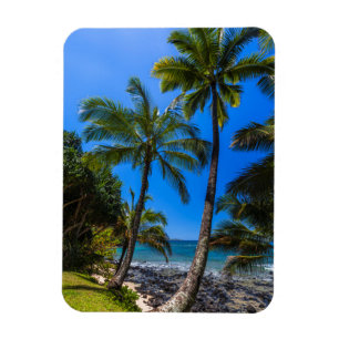Tropical coastline 2 magnet