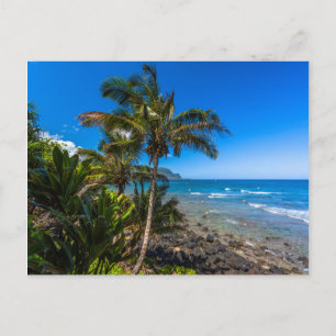 Tropical coastline postcard