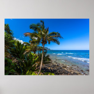 Tropical coastline poster
