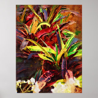 Tropical codiaeum - Croton Poster