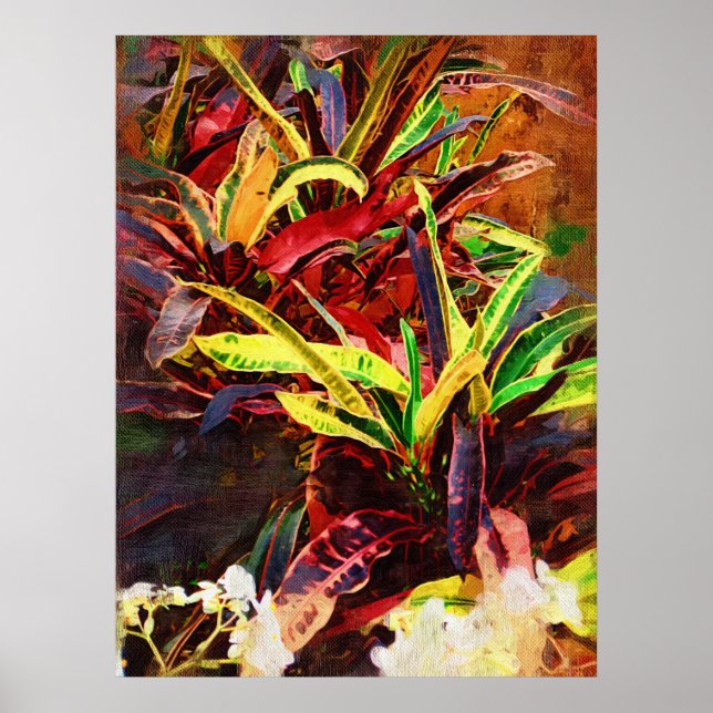 Tropical codiaeum - Croton Poster (Front)