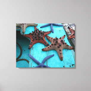 Tropical, colouful starfish canvas print