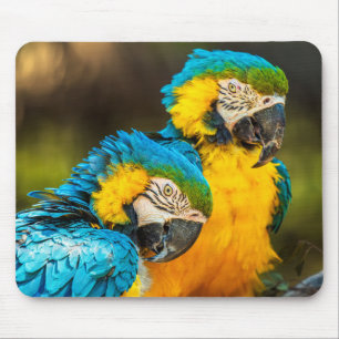 Tropical Companions Mouse Pad