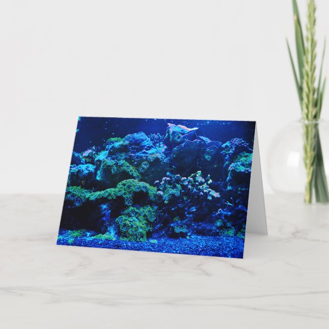 Tropical Coral Reef Card (Front)