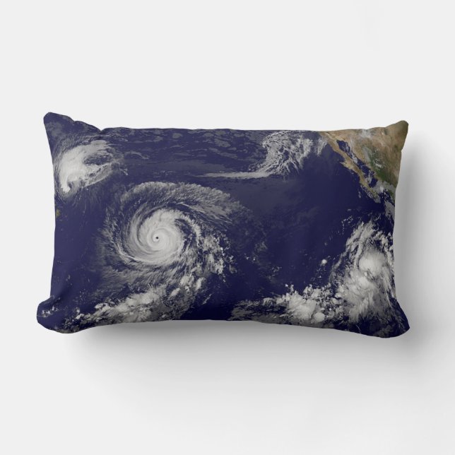 Tropical Cyclones Lumbar Pillow (Front)