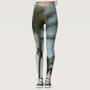 tropical  date palm trees against azure sky leggings