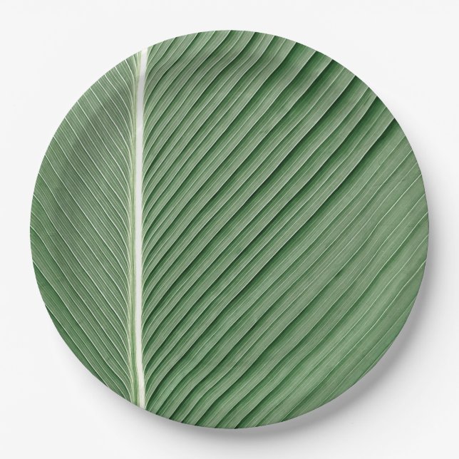 Tropical Elegance - Coconut Leaf Design Paper Plat Paper Plate (Front)