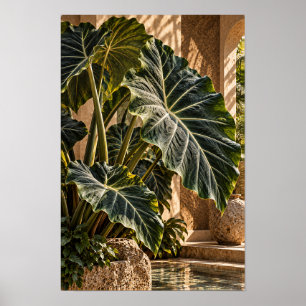 Tropical Elephant Ear Leaves in Golden Courtyard W Poster